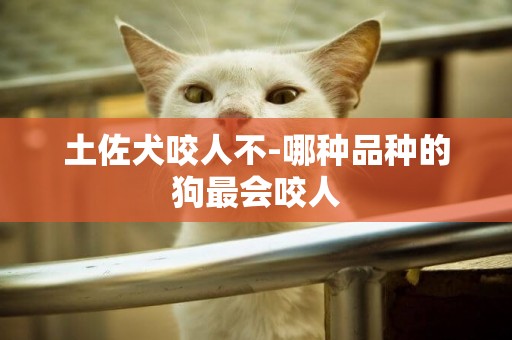 土佐犬咬人不-哪種品種的狗最會咬人