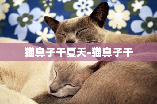 貓鼻子干夏天-貓鼻子干