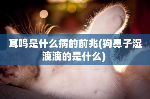 耳鳴是什么病的前兆(狗鼻子濕漉漉的是什么) 