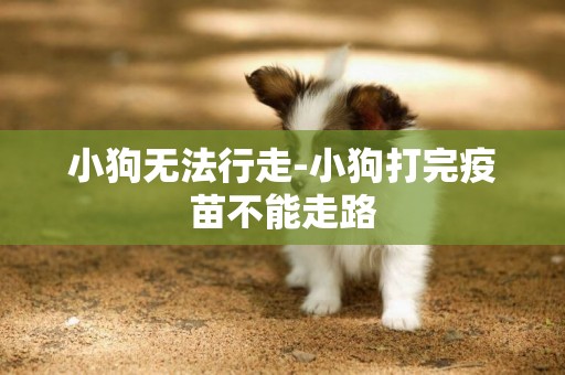 小狗無法行走-小狗打完疫苗不能走路
