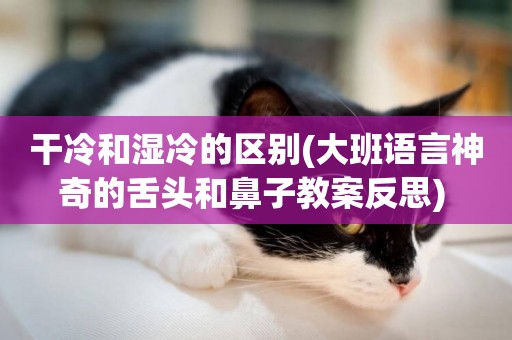 干冷和濕冷的區別(大班語言神奇的舌頭和鼻子教案反思) 