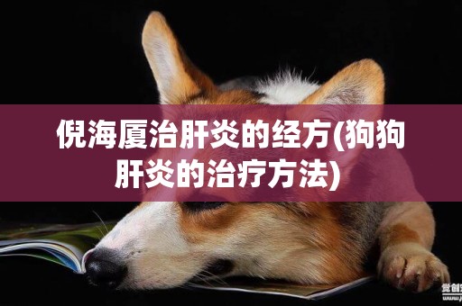 倪海廈治肝炎的經方(狗狗肝炎的治療方法) 
