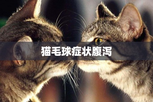 貓毛球癥狀腹瀉