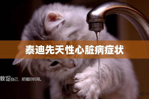 泰迪先天性心臟病癥狀