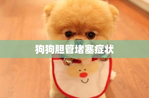 狗狗膽管堵塞癥狀