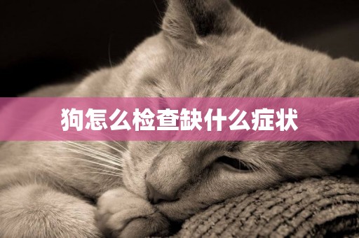 狗怎么檢查缺什么癥狀