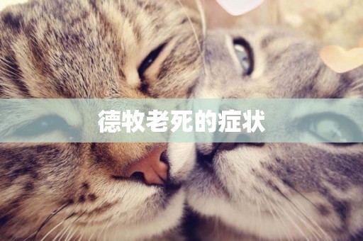 德牧老死的癥狀