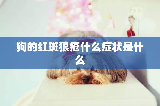 狗的紅斑狼瘡什么癥狀是什么