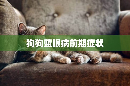 狗狗藍眼病前期癥狀