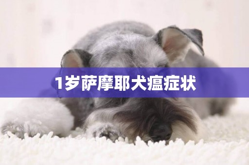 1歲薩摩耶犬瘟癥狀
