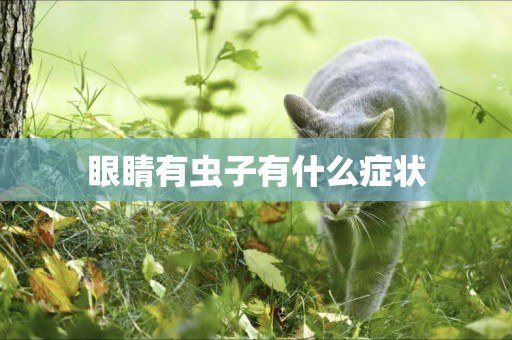 眼睛有蟲子有什么癥狀