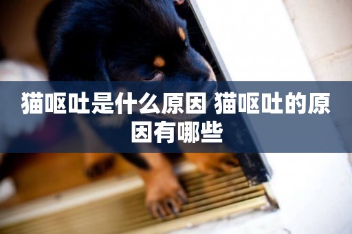 貓嘔吐是什么原因 貓嘔吐的原因有哪些