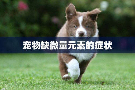 寵物缺微量元素的癥狀