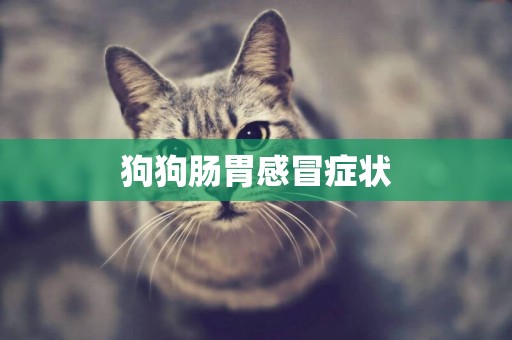 狗狗腸胃感冒癥狀