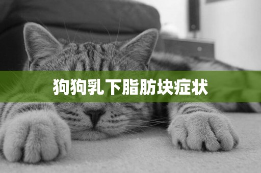 狗狗乳下脂肪塊癥狀