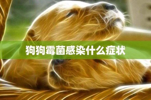 狗狗霉菌感染什么癥狀
