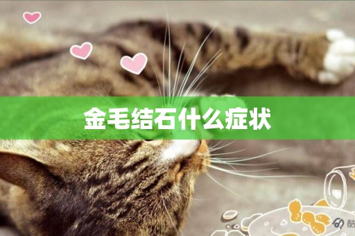金毛結石什么癥狀