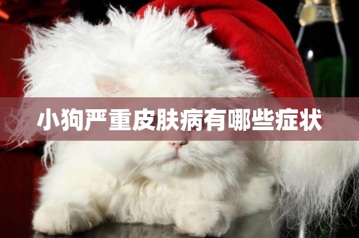 小狗嚴重皮膚病有哪些癥狀