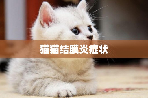 貓貓結膜炎癥狀