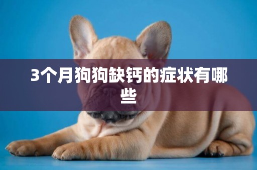 3個月狗狗缺鈣的癥狀有哪些