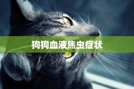狗狗血液焦蟲癥狀