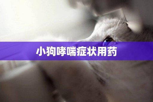 小狗哮喘癥狀用藥