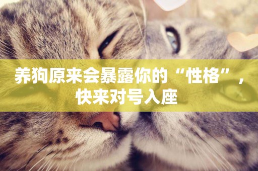 養狗原來會暴露你的“性格”，快來對號入座 