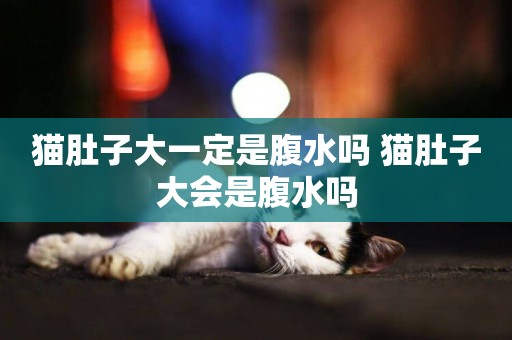 貓肚子大一定是腹水嗎 貓肚子大會是腹水嗎