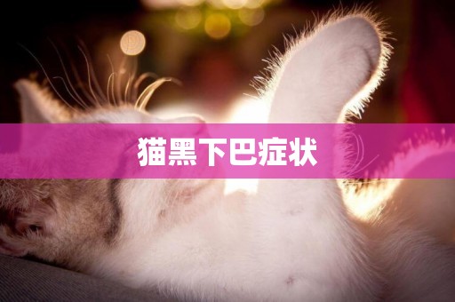 貓黑下巴癥狀