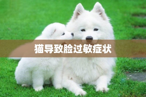 貓導致臉過敏癥狀
