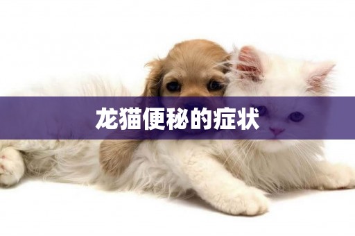 龍貓便秘的癥狀