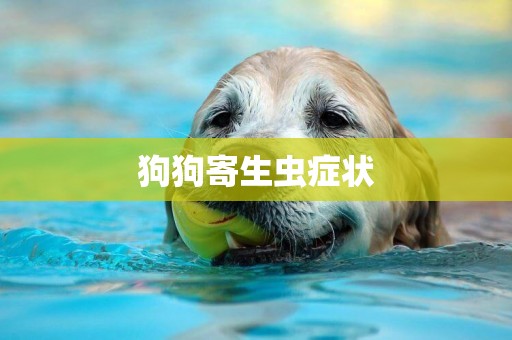 狗狗寄生蟲癥狀