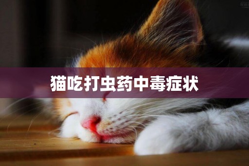 貓吃打蟲藥中毒癥狀