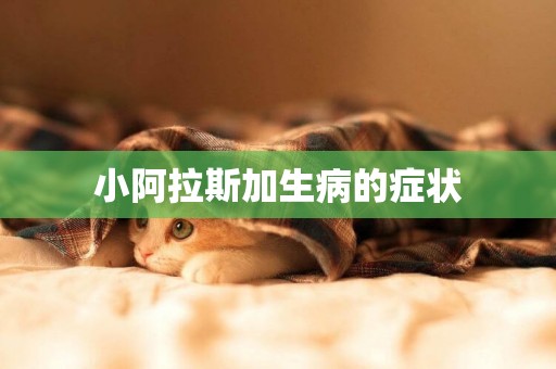 小阿拉斯加生病的癥狀