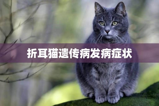 折耳貓遺傳病發病癥狀