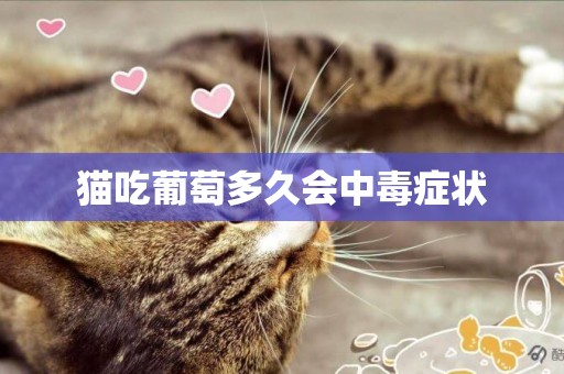 貓吃葡萄多久會中毒癥狀