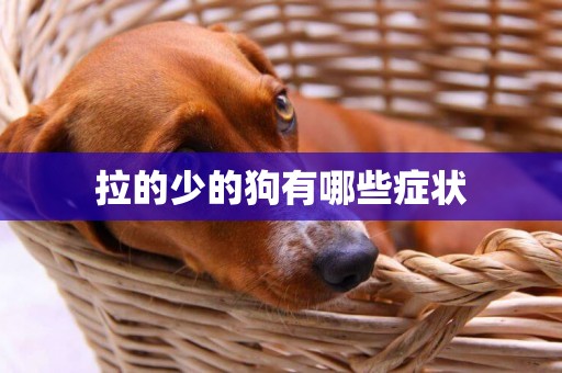 拉的少的狗有哪些癥狀