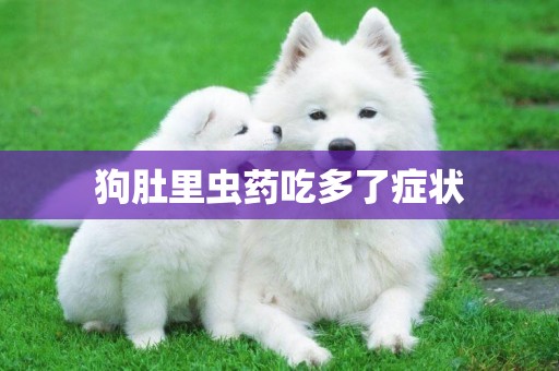 狗肚里蟲藥吃多了癥狀