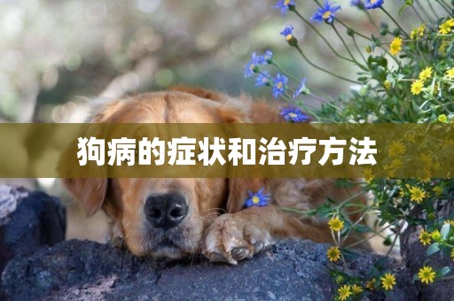 狗病的癥狀和治療方法
