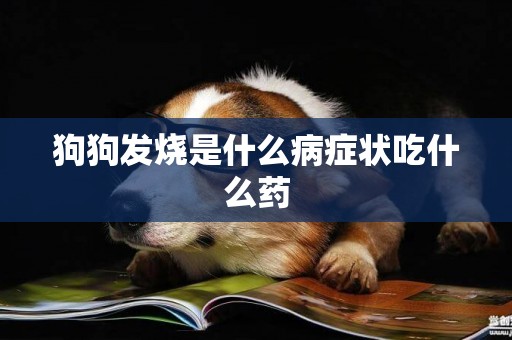 狗狗發燒是什么病癥狀吃什么藥