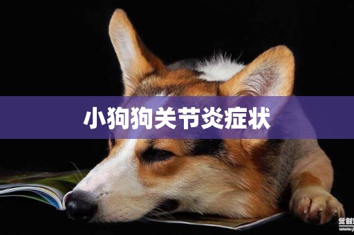 小狗狗關節炎癥狀