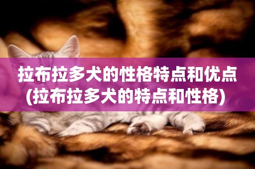 拉布拉多犬的性格特點和優點(拉布拉多犬的特點和性格) 