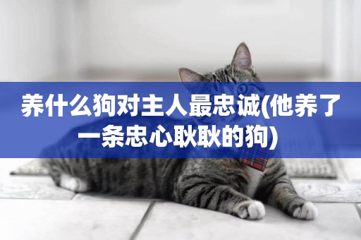 養什么狗對主人最忠誠(他養了一條忠心耿耿的狗) 