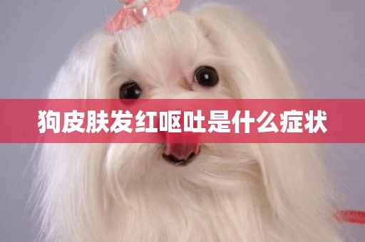 狗皮膚發紅嘔吐是什么癥狀