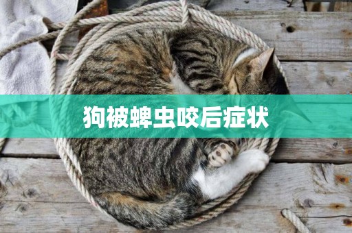 狗被蜱蟲咬后癥狀