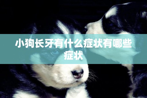小狗長牙有什么癥狀有哪些癥狀