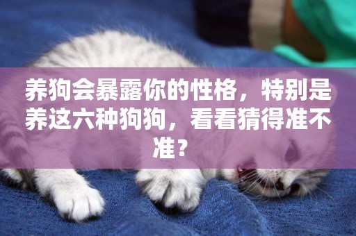 養狗會暴露你的性格，特別是養這六種狗狗，看看猜得準不準？ 