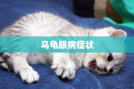 烏龜眼病癥狀