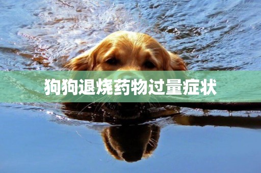 狗狗退燒藥物過量癥狀