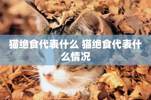 貓絕食代表什么 貓絕食代表什么情況